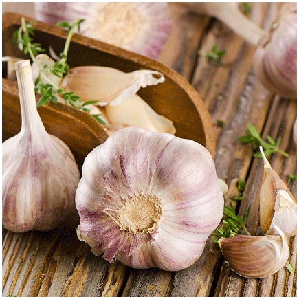 Mediterranean Garlic Natural flavour Oilsoluble